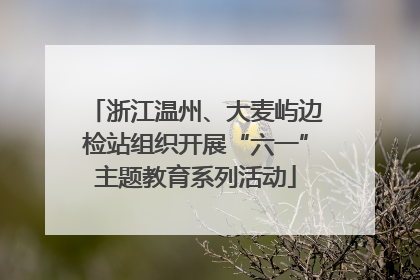 浙江温州、大麦屿边检站组织开展“六一”主题教育系列活动