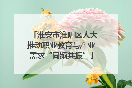 淮安市淮阴区人大推动职业教育与产业需求“同频共振”