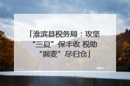淮滨县税务局：攻坚“三夏”保丰收 税助“弱麦”尽归仓
