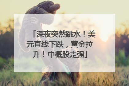 深夜突然跳水！美元直线下跌，黄金拉升！中概股走强