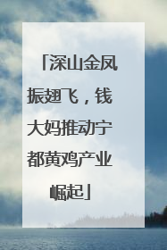 深山金凤振翅飞，钱大妈推动宁都黄鸡产业崛起