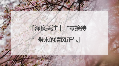深度关注丨“零接待”带来的清风正气