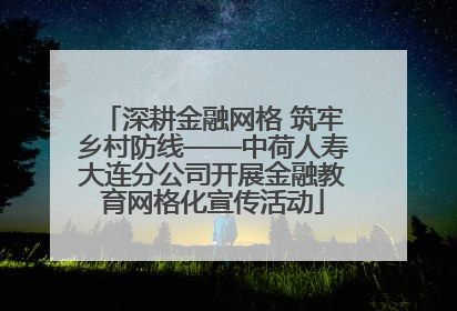 深耕金融网格 筑牢乡村防线——中荷人寿大连分公司开展金融教育网格化宣传活动