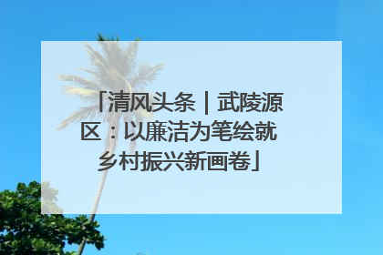 清风头条｜武陵源区：以廉洁为笔绘就乡村振兴新画卷