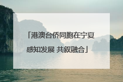 港澳台侨同胞在宁夏感知发展 共叙融合