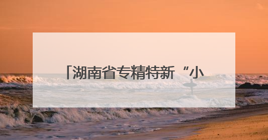 湖南省专精特新“小巨人”企业培育政策解读会在长沙举办