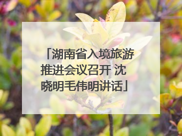 湖南省入境旅游推进会议召开 沈晓明毛伟明讲话