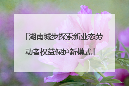 湖南城步探索新业态劳动者权益保护新模式