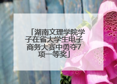 湖南文理学院学子在省大学生电子商务大赛中勇夺7项一等奖