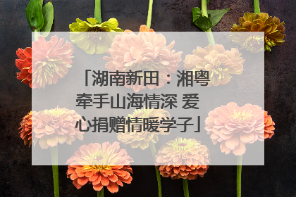 湖南新田：湘粤牵手山海情深 爱心捐赠情暖学子