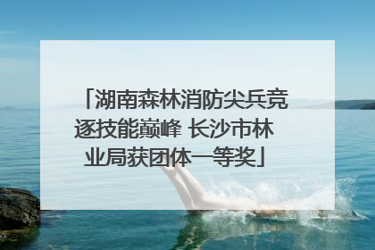 湖南森林消防尖兵竞逐技能巅峰 长沙市林业局获团体一等奖