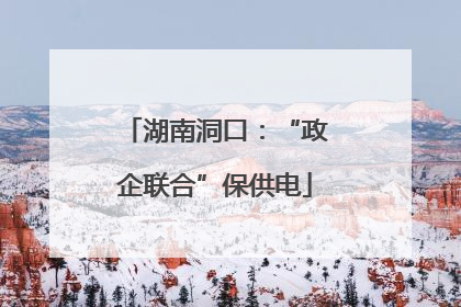 湖南洞口：“政企联合”保供电