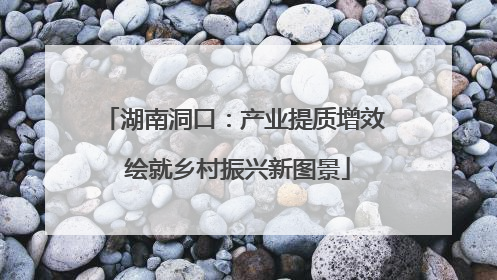湖南洞口：产业提质增效 绘就乡村振兴新图景