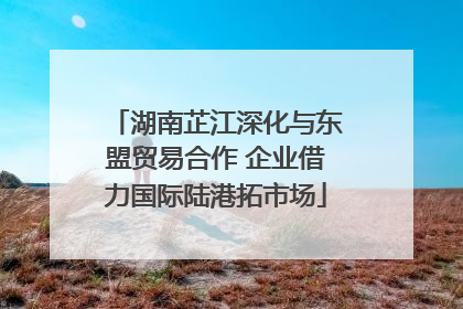 湖南芷江深化与东盟贸易合作 企业借力国际陆港拓市场