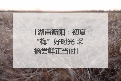 湖南衡阳：初夏“梅”好时光 采摘尝鲜正当时