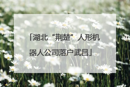 湖北“荆楚”人形机器人公司落户武昌