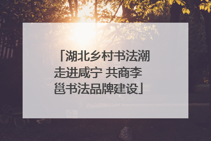 湖北乡村书法潮走进咸宁 共商李邕书法品牌建设