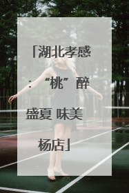 湖北孝感：“桃”醉盛夏 味美杨店
