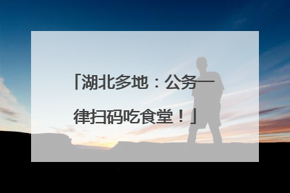 湖北多地：公务一律扫码吃食堂！