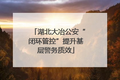 湖北大冶公安“闭环管控”提升基层警务质效