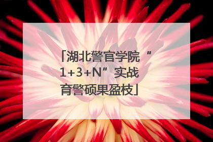 湖北警官学院“1+3+N”实战育警硕果盈枝
