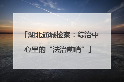 湖北通城检察：综治中心里的“法治前哨”