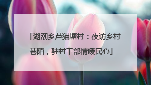 湖潮乡芦猫塘村：夜访乡村巷陌，驻村干部情暖民心