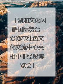 湖湘文化闪耀国际舞台 爱晚亭红色文化交流中心亮相中非经贸博览会