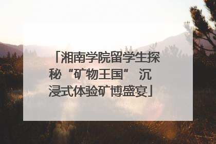 湘南学院留学生探秘“矿物王国” 沉浸式体验矿博盛宴