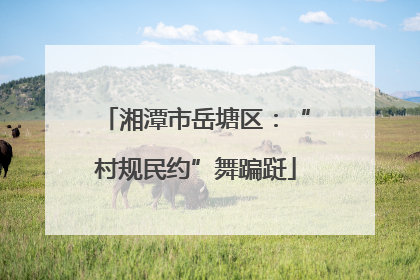 湘潭市岳塘区：“村规民约”舞蹁跹