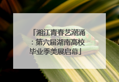 湘江青春艺潮涌：第六届湖南高校毕业季美展启幕