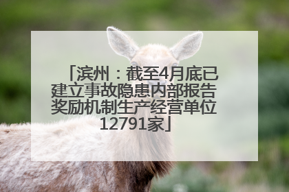 滨州：截至4月底已建立事故隐患内部报告奖励机制生产经营单位12791家