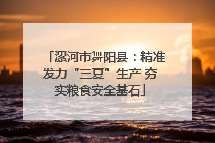 漯河市舞阳县：精准发力“三夏”生产 夯实粮食安全基石