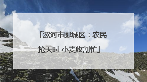漯河市郾城区：农民抢天时 小麦收割忙
