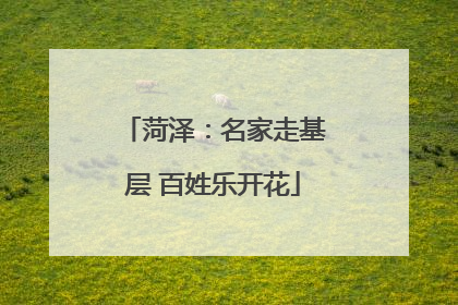 菏泽：名家走基层 百姓乐开花