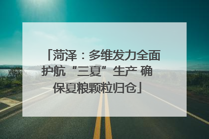 菏泽：多维发力全面护航“三夏”生产 确保夏粮颗粒归仓