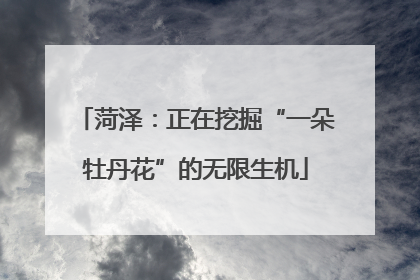 菏泽：正在挖掘“一朵牡丹花”的无限生机
