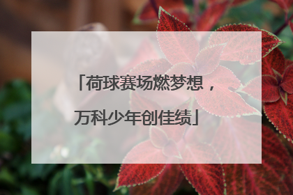 荷球赛场燃梦想，万科少年创佳绩