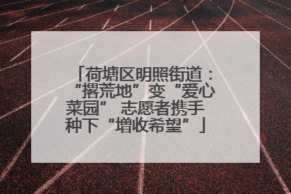 荷塘区明照街道：“撂荒地”变“爱心菜园” 志愿者携手种下“增收希望”