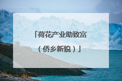 荷花产业助致富（侨乡新貌）