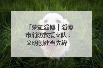 荣耀淄博｜淄博市消防救援支队：文明创建当先锋 蓝焰映红建新功