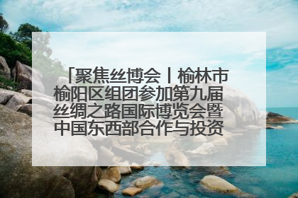 聚焦丝博会丨榆林市榆阳区组团参加第九届丝绸之路国际博览会暨中国东西部合作与投资贸易洽谈会