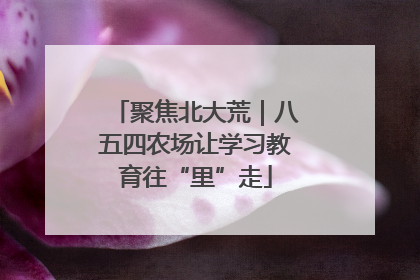 聚焦北大荒｜八五四农场让学习教育往“里”走
