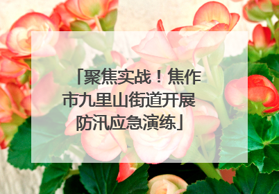 聚焦实战！焦作市九里山街道开展防汛应急演练