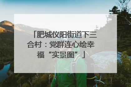 肥城仪阳街道下三合村：党群连心绘幸福“实景图”