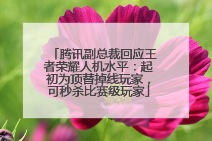 腾讯副总裁回应王者荣耀人机水平：起初为顶替掉线玩家，可秒杀比赛级玩家