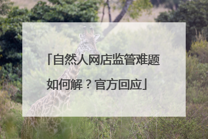 自然人网店监管难题如何解？官方回应