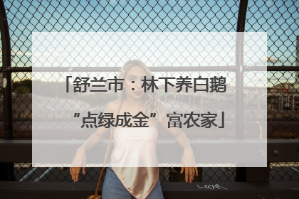 舒兰市：林下养白鹅 “点绿成金”富农家