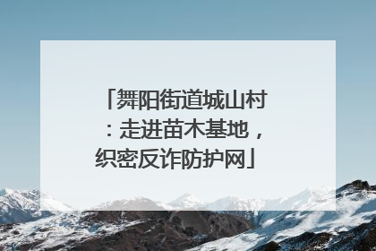 舞阳街道城山村：走进苗木基地，织密反诈防护网