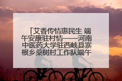 艾香传情惠民生 端午安康驻村情——河南中医药大学驻西峡县寨根乡桑树村工作队端午中医惠民记
